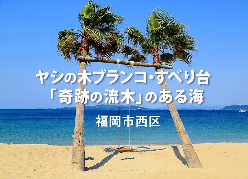 糸島 奇跡の流木とヤシの木ブランコが人気の海 夏はバーベキュー冬は牡蠣小屋も 福岡たのしか