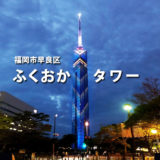 【福岡タワー】夜景100選！福岡を一望できる大パノラマ！クリスマスライトアップは11/19から